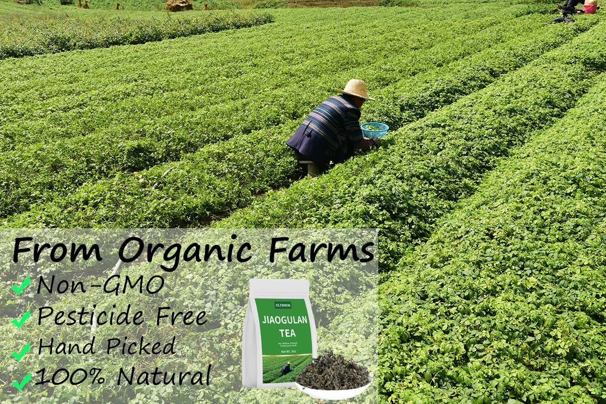 Natural Gynostemma Tea-Jiaogulan Tea 8 Oz, Reusable Bag.100% Natural Dried Loose Leaf Tea,No Additive.