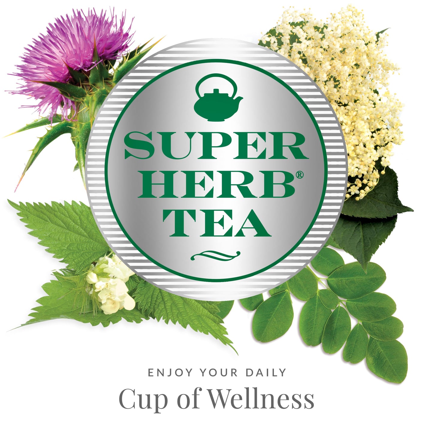 The Republic of Tea - Raspberry Leaf SuperHerb Tea Tin, 36 Herbal Tea Bags, Naturally Caffeine-Free