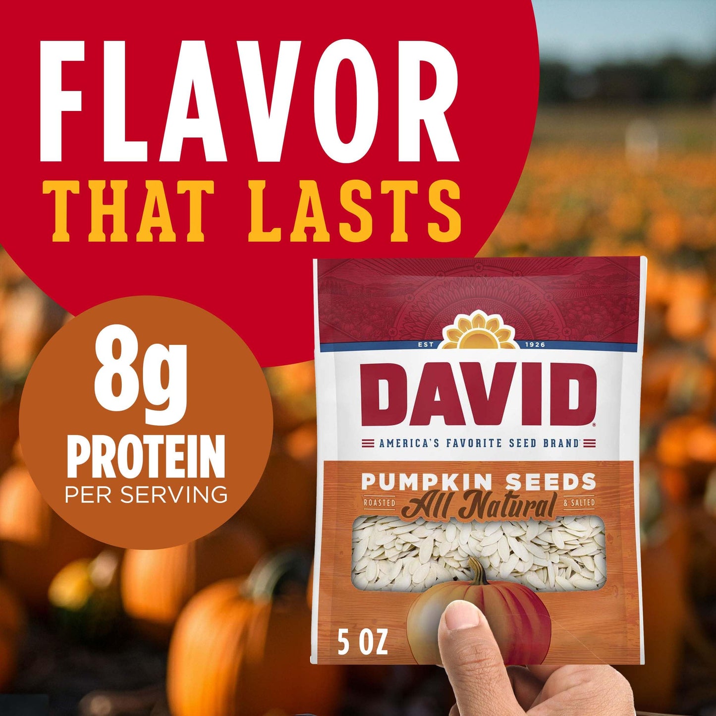 DAVID All Natural Pumpkin Seeds, 5 oz.