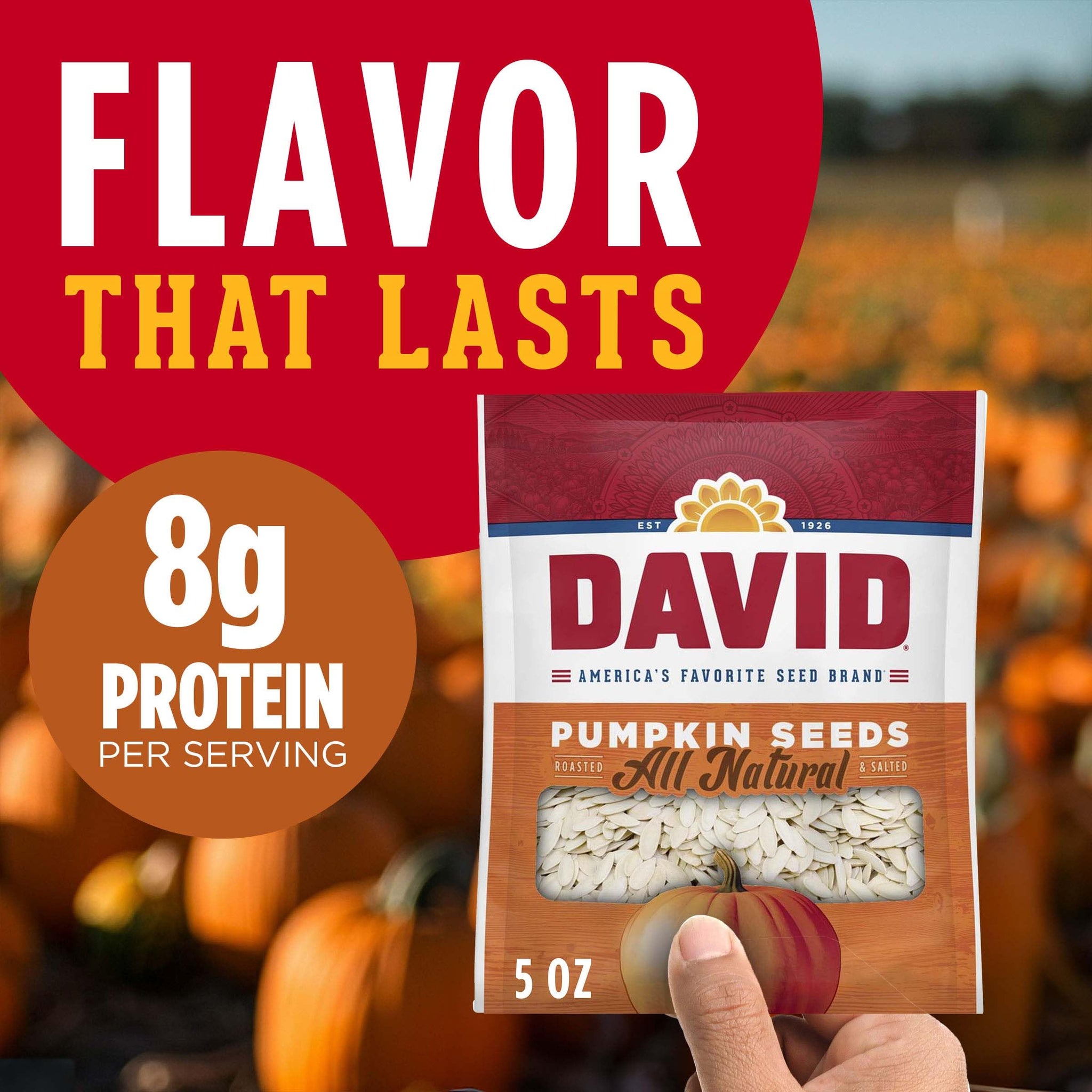 DAVID All Natural Pumpkin Seeds, 5 oz.