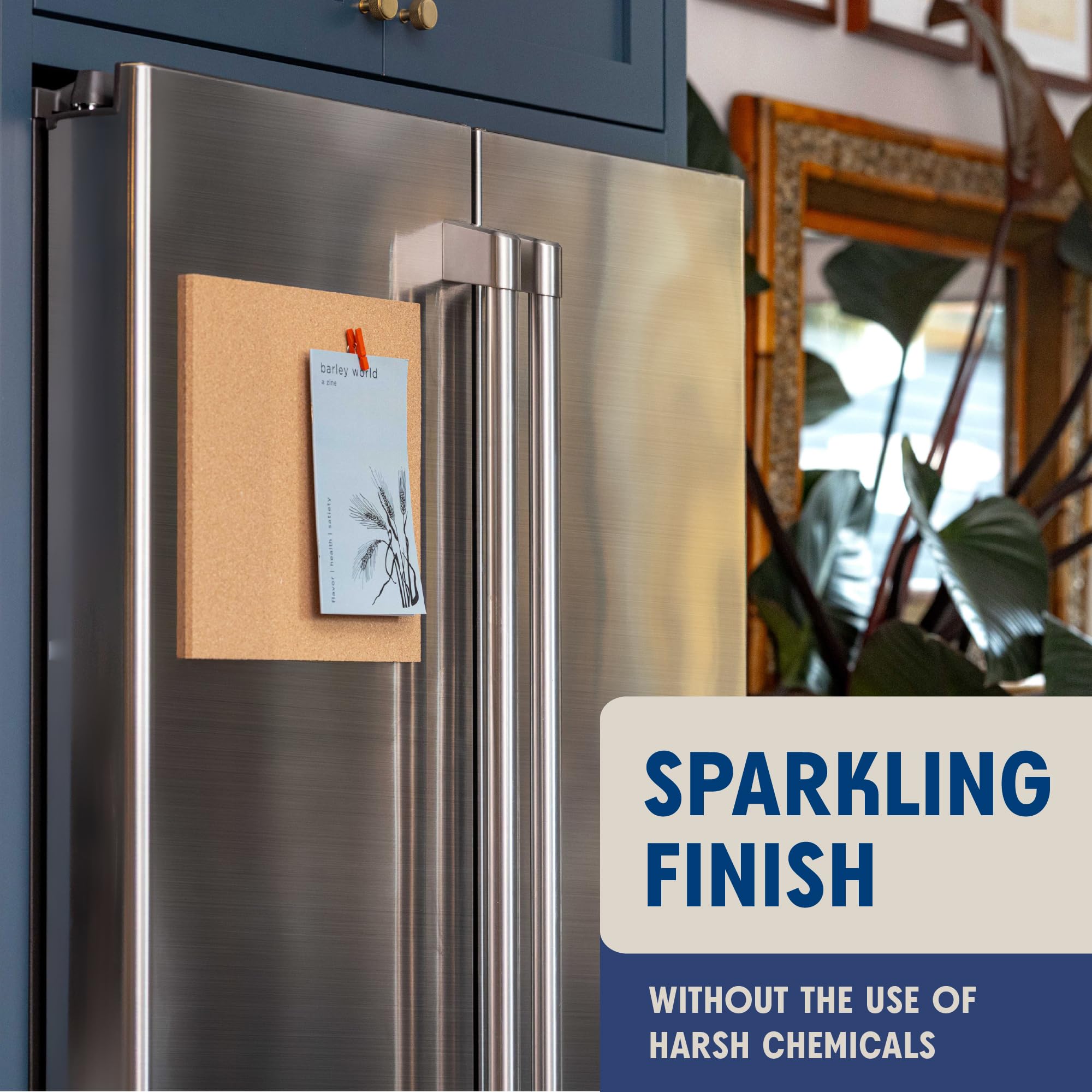 Aunt Fannie's Stainless Steel Spray Cleaner, Powered by Vinegar, Fingerprint and Residue Remover for Refrigerator, Dishwasher, Oven, Grill, Sink