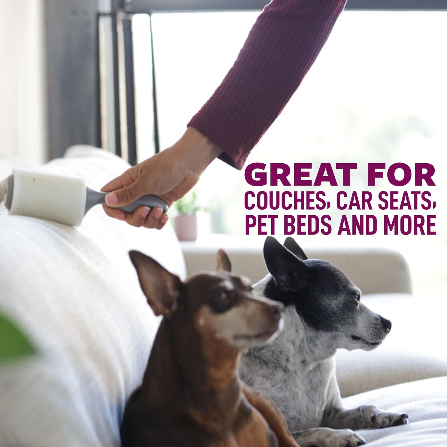 Scotch-Brite Pet Hair Pickup Extra Sticky Large Lint Roller, Designed for Removing Fur + Fluff on Couches, Clothes, Dog and Cat Beds, & More, 1 Pack