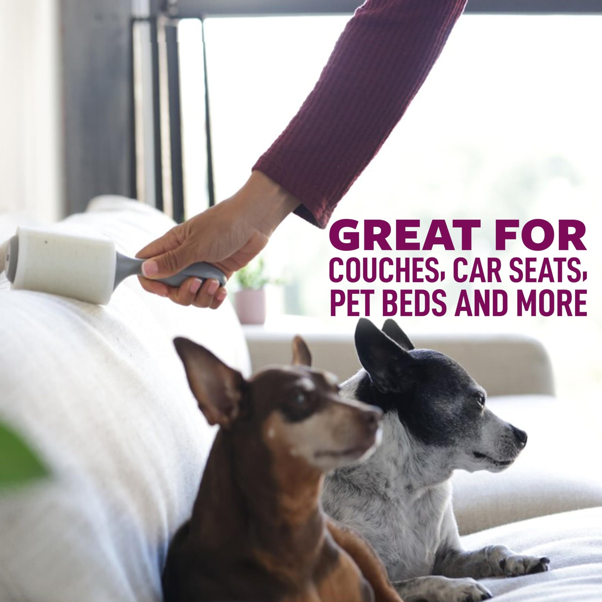Scotch-Brite Pet Hair Pickup Extra Sticky Large Lint Roller, Designed for Removing Fur + Fluff on Couches, Clothes, Dog and Cat Beds, & More, 1 Pack