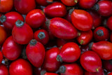 Rose Hips Tea - 1 LB (16 oz) | Real Wild Harvest | 100% USDA Certified Organic | Cut and Sifted Albanian Rose Hips Shells | Aroma-Rich Seedless
