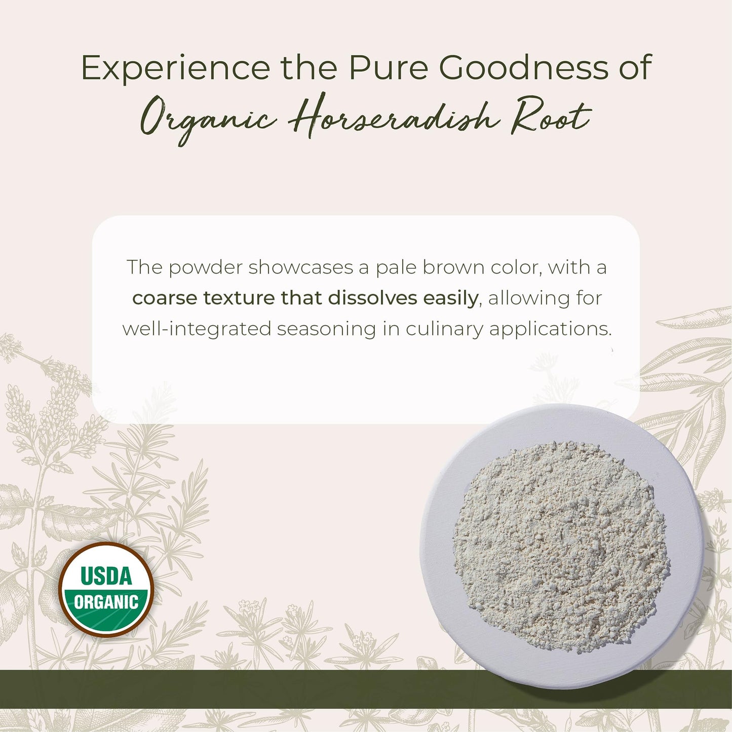 Starwest Botanicals Organic Horseradish Root Powder - Dried Seasoning Spice for Meats, Seafood, & Sauces, Finely Ground, Spicy & Savory, Certified