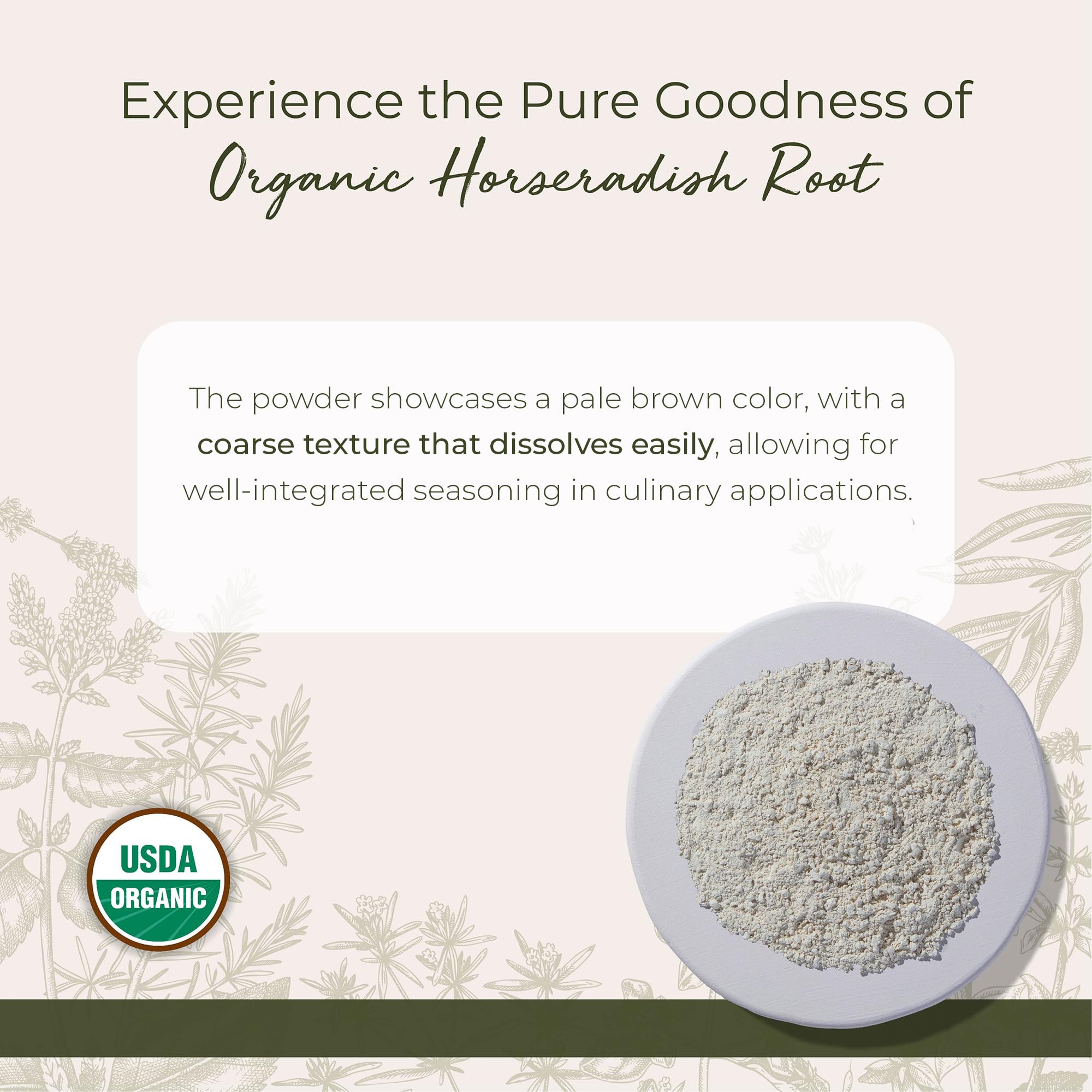 Starwest Botanicals Organic Horseradish Root Powder - Dried Seasoning Spice for Meats, Seafood, & Sauces, Finely Ground, Spicy & Savory, Certified