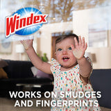 Windex Glass and Multi-Surface Cleaning Wipes, 28 Count