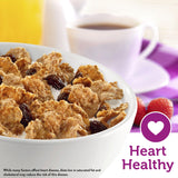 Kellogg's Raisin Bran Breakfast Cereal, High Fiber Cereal, Made with Real Fruit, Family Size, Original, 24oz Box (1 Box)