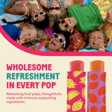 ZuBeZu Organic Immunity Ice Pops - Natural Support for Children’s Immune System with Elderberry, Vitamin C & D, and Zinc - No Added Sugar and 100%