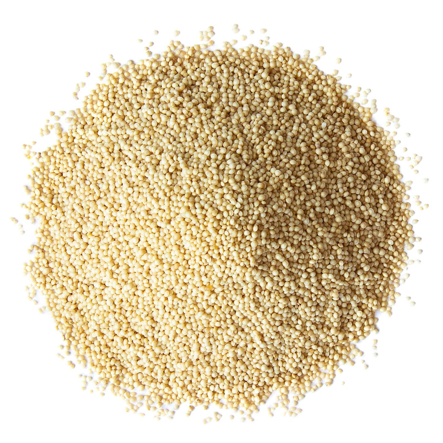 Food to Live Organic Amaranth Grain, 1 Pound - Non-GMO, 100% Whole Grain, Kosher, Vegan, Bulk Seeds