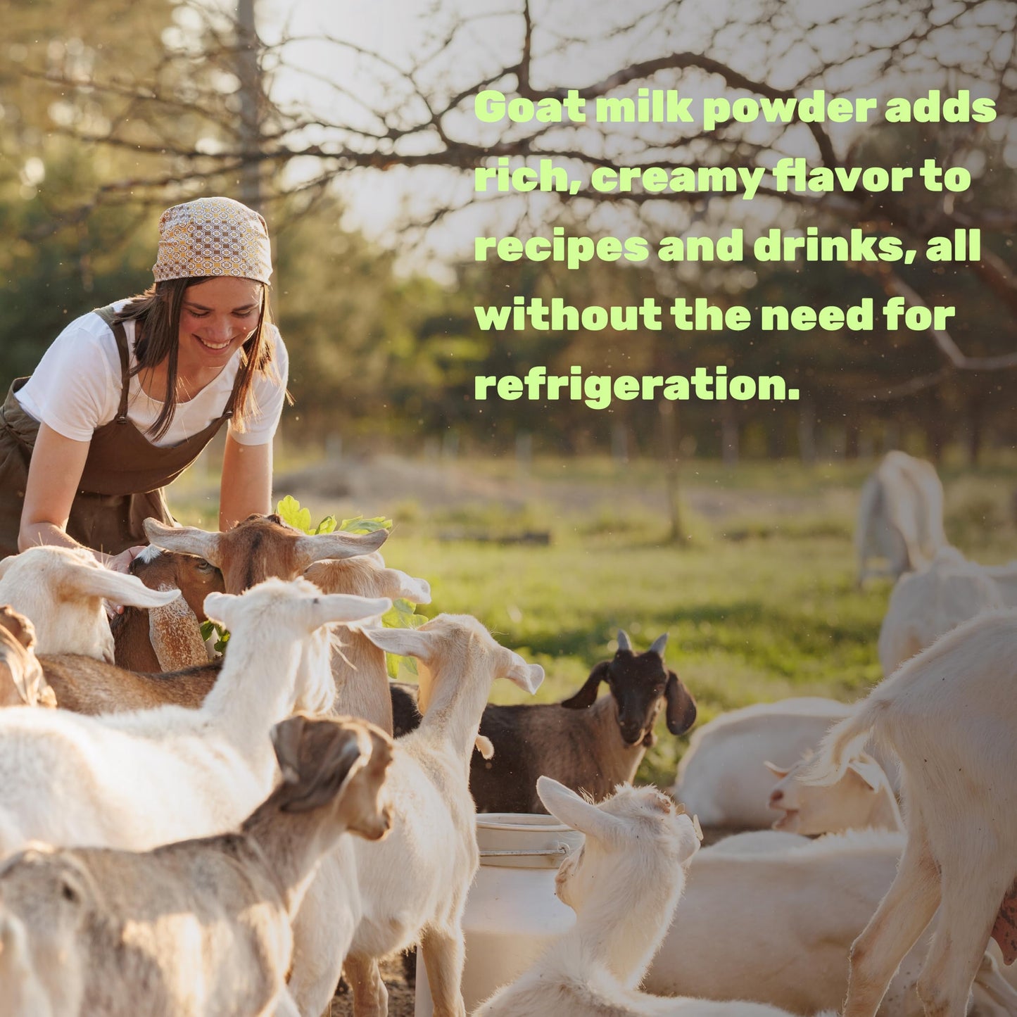 Goat Milk Powder, 1lb - Natural Grass Fed Source from Australia - Farm Direct - Easy to Digest - Powdered Goat Milk Formula for Drinks, Baking & Cooking - Non-GMO, Filler Free, Pet Friendly