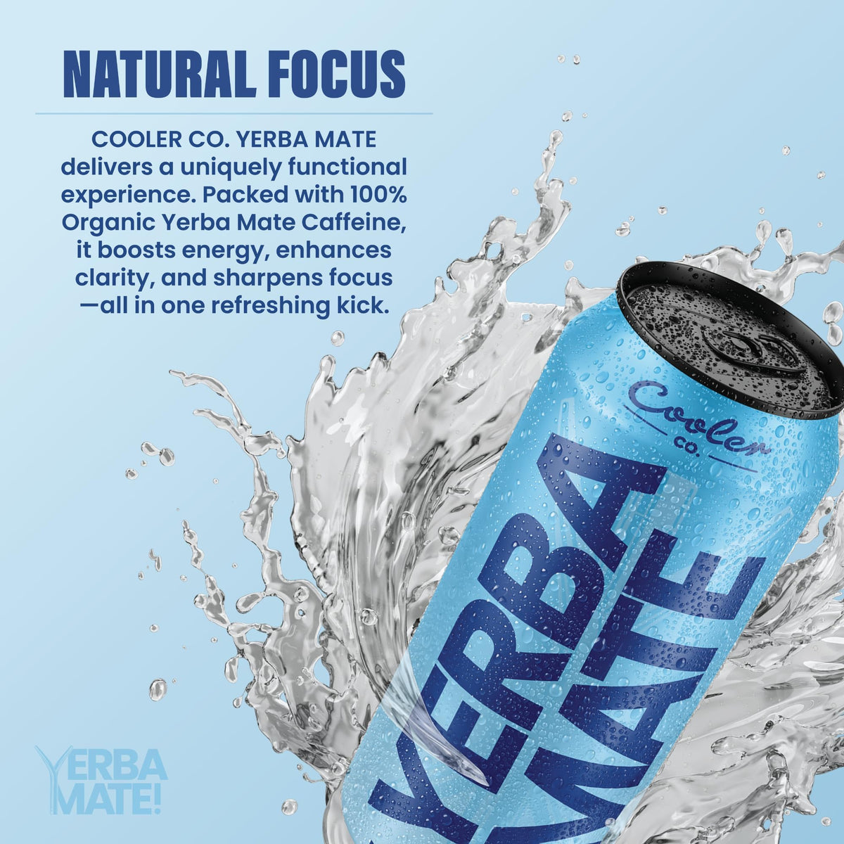 COOLER CO. | YERBA MATE | 100% Org Caffeine | Blue Balance Flavor (12 Pack)