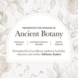 Anima Mundi Apothecary Breathe Lung Tonic Tea - Herbal Tea Blend with Astragalus, Reishi, Nettles and Ginger - Organic Loose Leaf Blend (2oz / 57g)