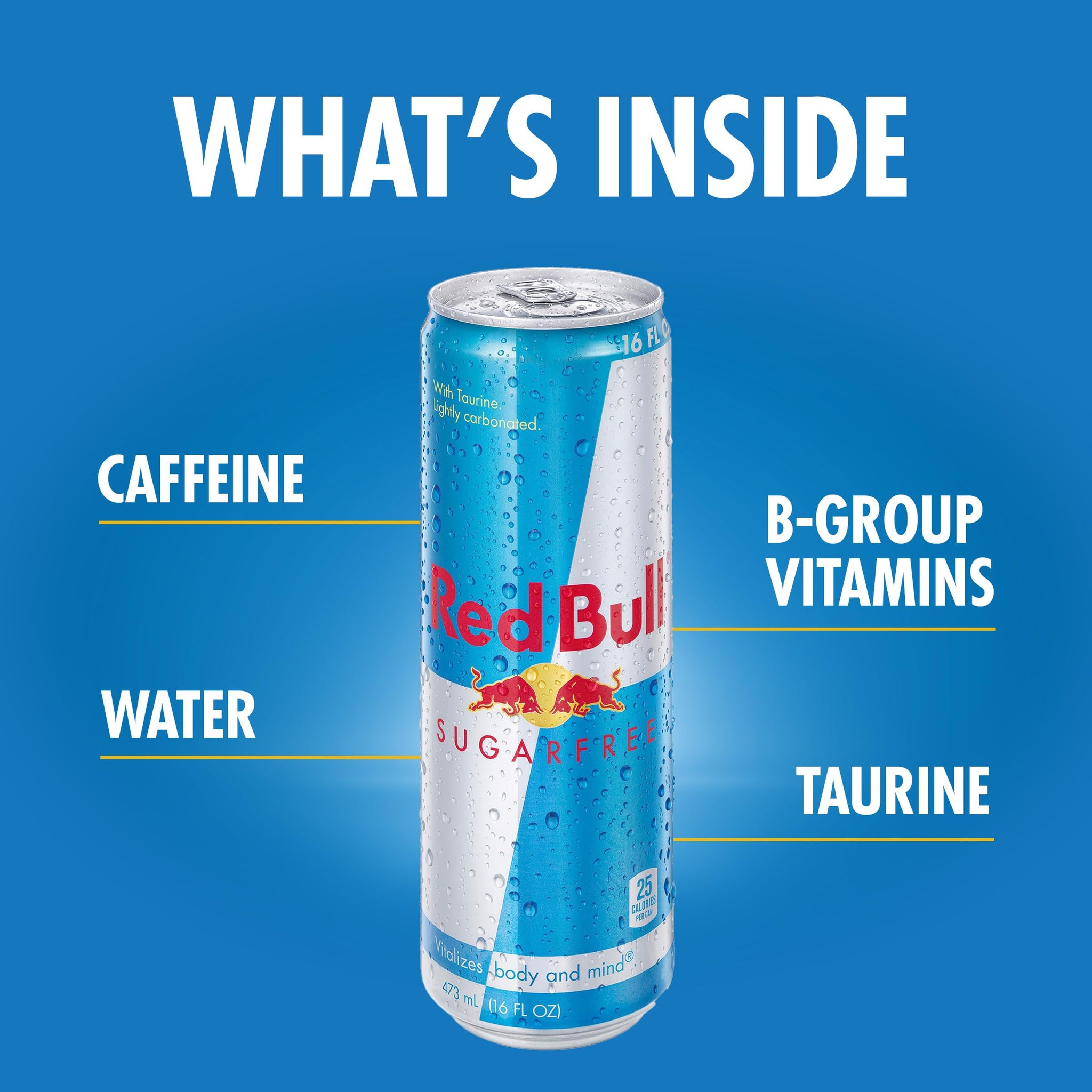 Red Bull Energy Drink, Sugar Free, 16 Fl oz