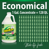 OdoBan Disinfectant Concentrate and Odor Eliminator, Made in the USA, Original Eucalyptus Scent, 2 Gallons