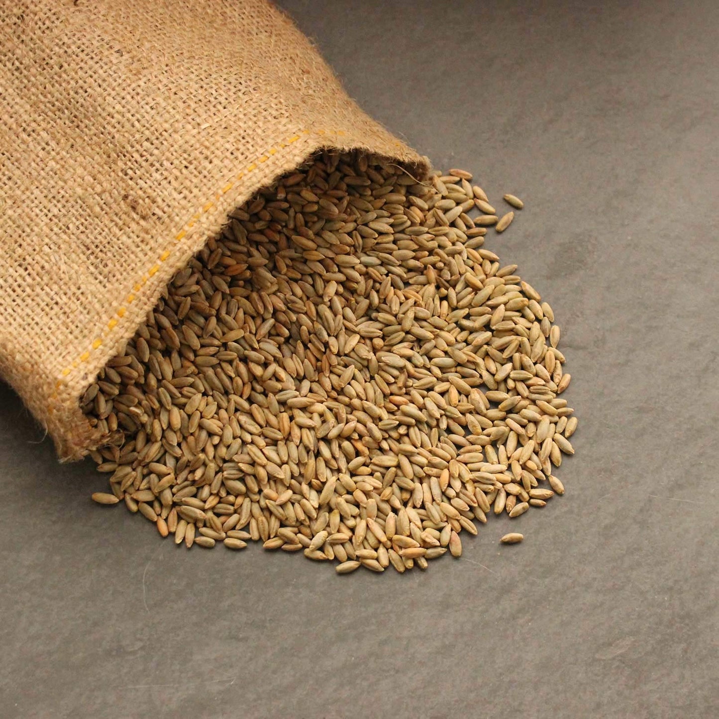 1 Lb Bag Organic Rye Grain Seeds - Rye Seed for Sprouting Rye Berries, Rye Seeds for Organic Rye Flour, Rye Meal, Rye Pasta, Marble Rye Bread, Rye