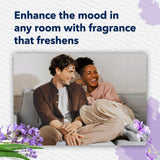 Glade PlugIns Refills Air Freshener, Scented and Essential Oils for Home and Bathroom, Tranquil Lavender & Aloe, 1.34 Fl Oz, 2 Count