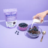 Rawcology Organic, Keto, Grain Free Raw Crunch Granola Variety Pack - Blueberry, Chocolate, Banana 3 x 200 Gram Pack