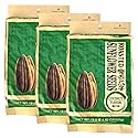 ChaCha Roasted Sunflower Seeds - Coconut (250G) Pack of 3