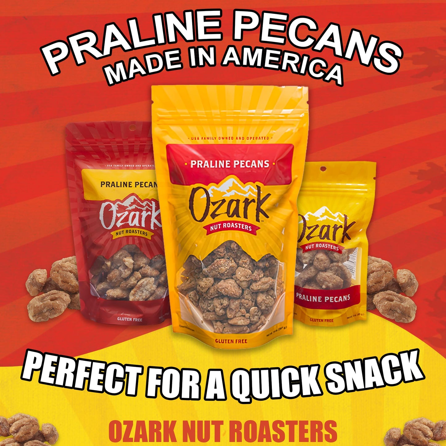 OZARK NUT ROASTERS, Praline Pecans, Sweet & Creamy French-Inspired Gourmet Snacks, World-Class Gourmet Candied Nuts, Resealable Pack (14 oz)