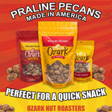 OZARK NUT ROASTERS, Praline Pecans, Sweet & Creamy French-Inspired Gourmet Snacks, World-Class Gourmet Candied Nuts, Resealable Pack (14 oz)