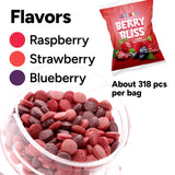 Razzles Candy Gum - 15 OZ Bag of Fruit-Flavored Chewing Bubble Gum - 318 pcs Vending Machine Refill Bulk Candy Coated Chewing Gum for Kids & Adults