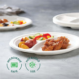 100% Compostable, 3 Compartment [10-Inch] Disposable Paper Plates [125-Pack] Sectional Lunch Trays + Dividers - Divided Platter Tray - Heavy Duty