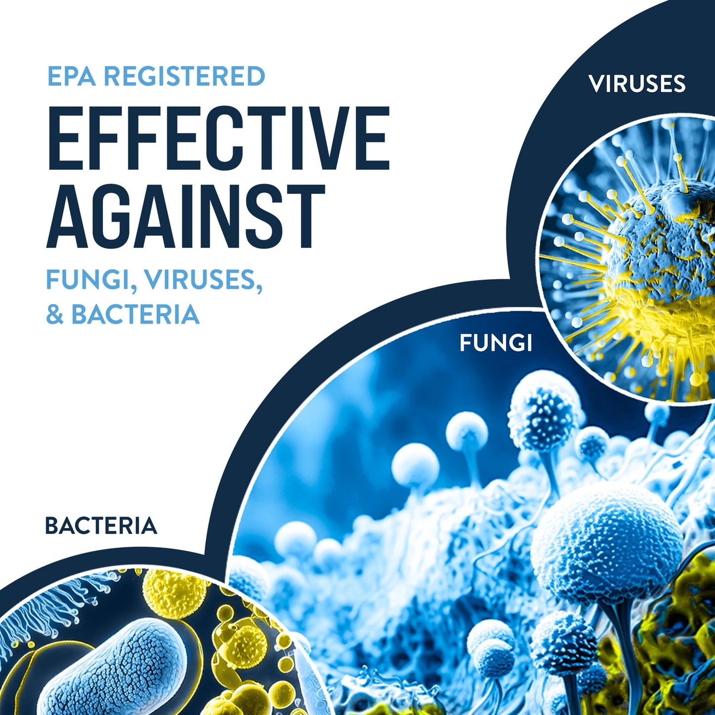 Bio Cide Laboratories BioCide 100 - Multi-Purpose Cleaner and Disinfectant Spray - Professional Grade Bacteria, Virus Mildew, and Fungi Remover