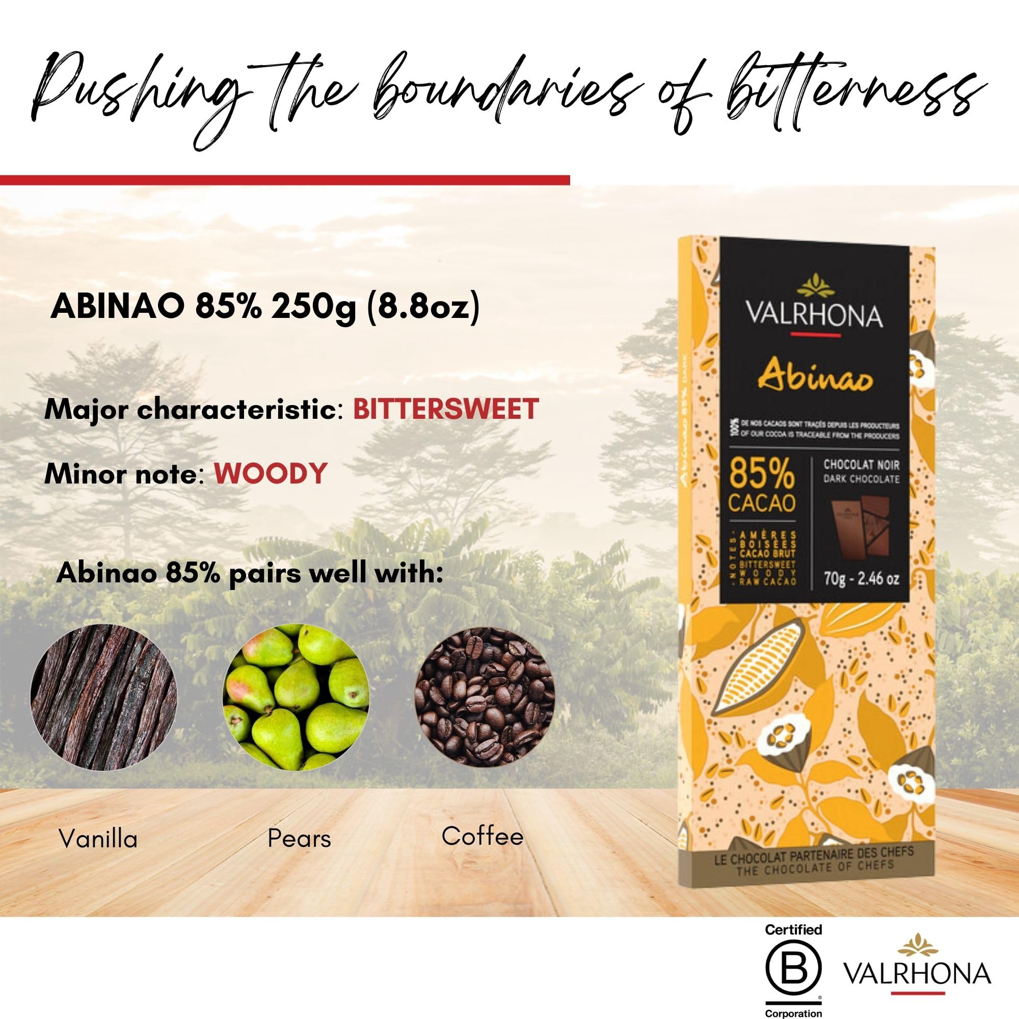 Valrhona Premium Extra Dark Chocolate ABINAO 85% Cacao Tasting Bars - Gourmet French Chocolate Perfect for Eating and Baking and Frostings, Cookies