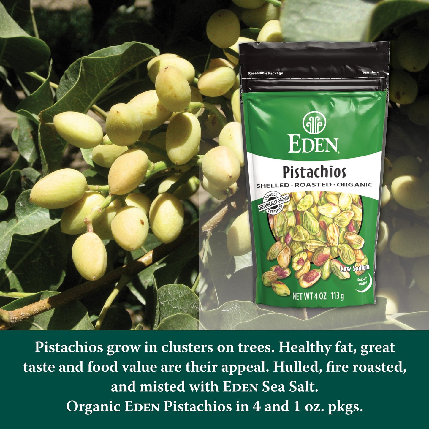 Eden Organic Pistachios, Shelled, Roasted, and Misted with Sea Salt, California Grown, 4 oz