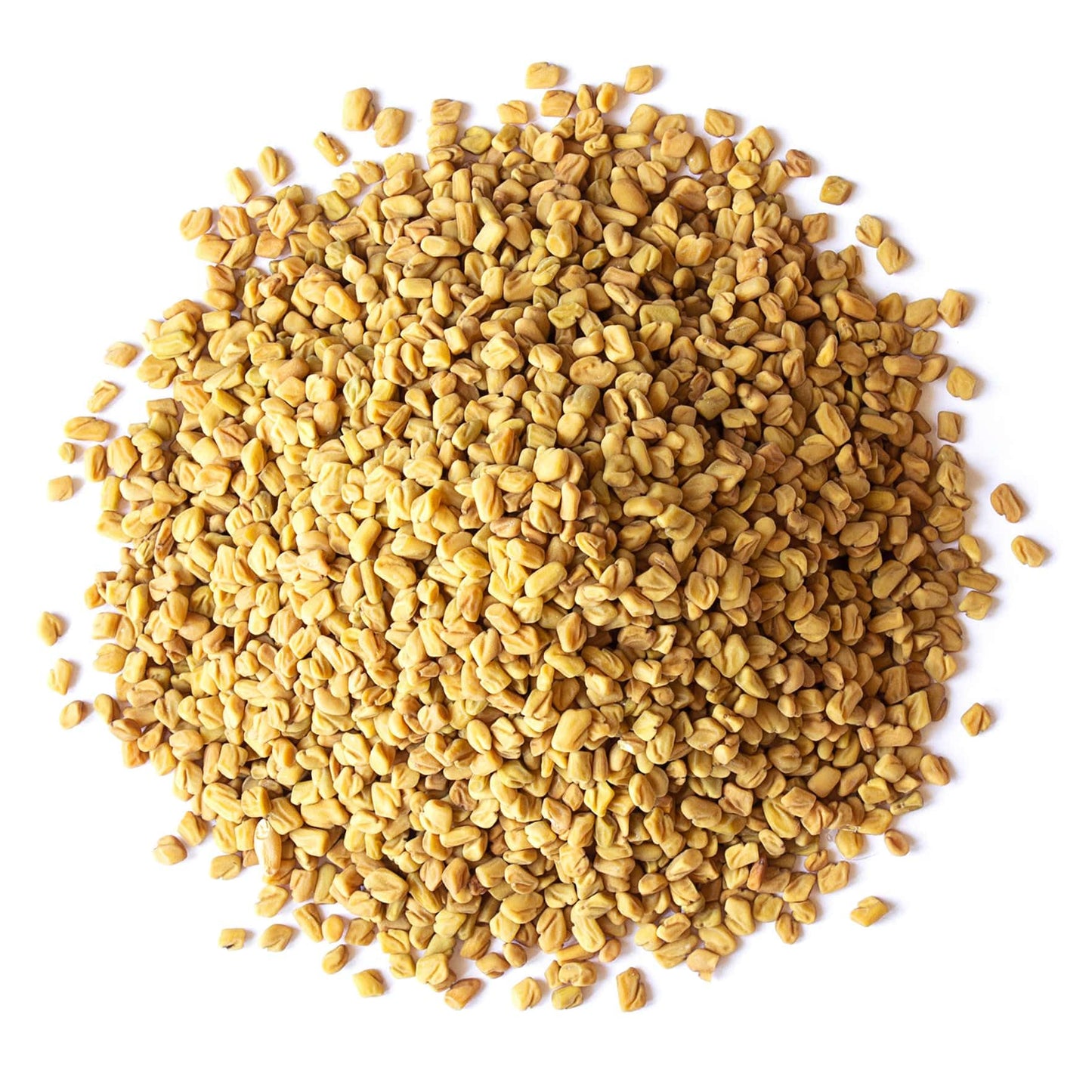 Food to Live Organic Fenugreek Seeds, 7.5 Pounds - Non-GMO, Raw, Whole Methi, Gluten Free, Kosher, Vegan, Bulk, Rich in Iron, Copper, Fiber