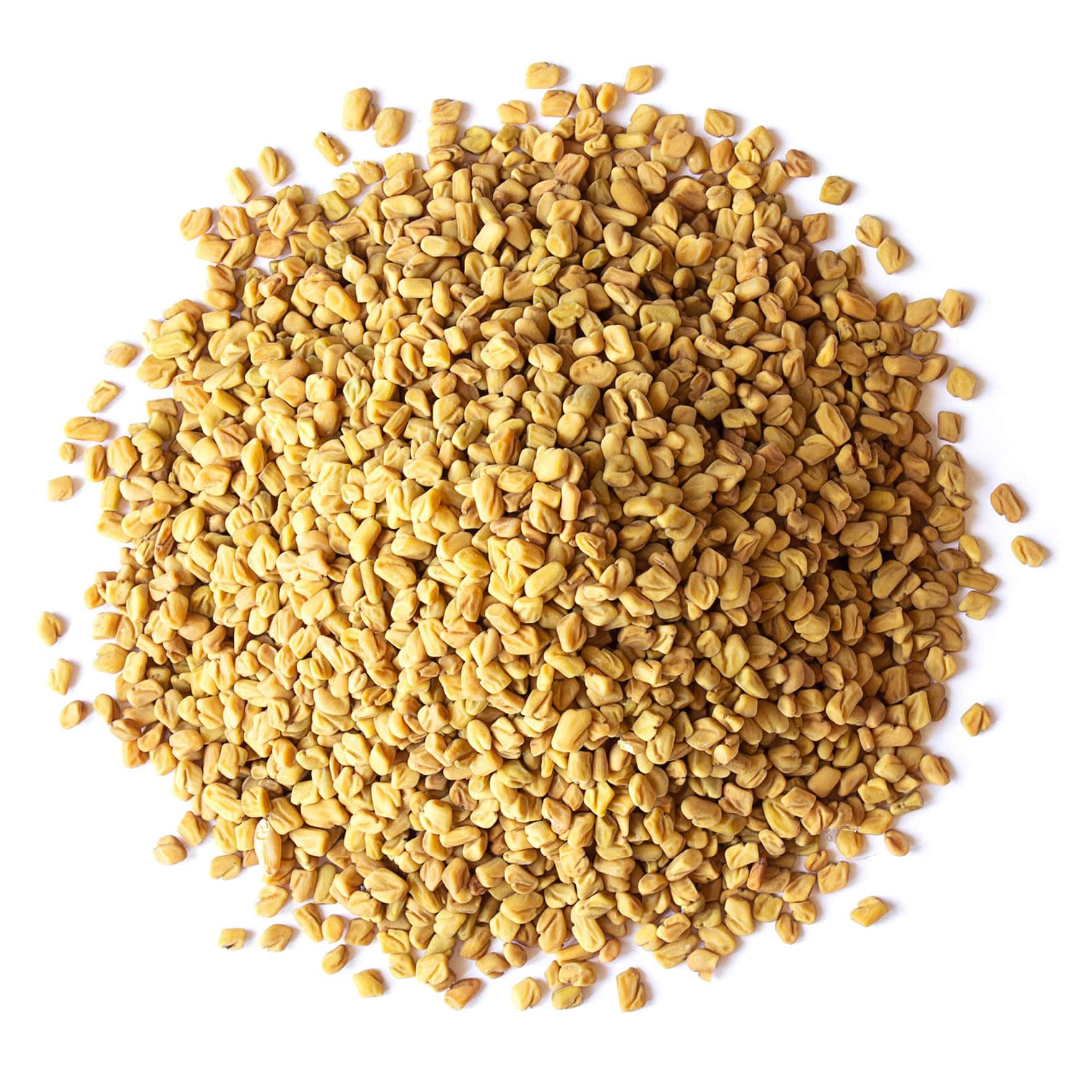 Food to Live Organic Fenugreek Seeds, 7.5 Pounds - Non-GMO, Raw, Whole Methi, Gluten Free, Kosher, Vegan, Bulk, Rich in Iron, Copper, Fiber