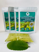 Organic Kalanchoe pinnata Leaves Powder 100g (Bryophyllum Pinnatum), Miracle leaf air plants Herbal Powder - Ceylonwood Herbals