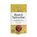 Root & Splendor Ultra Concentrated Non Toxic Laundry Detergent Liquid - Plant Based & Eco Friendly Enzymatic Laundry Soap, Swell Scent, 1.5 Liter, 101