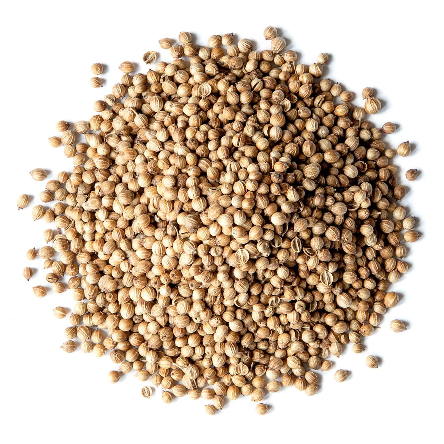 Food to Live Whole Coriander Seeds, 8 Ounces - Dried Cilantro Seeds, Vegan, Kosher, Bulk. Rich in Antioxidants. Perfect for Spice Blends, Homemade
