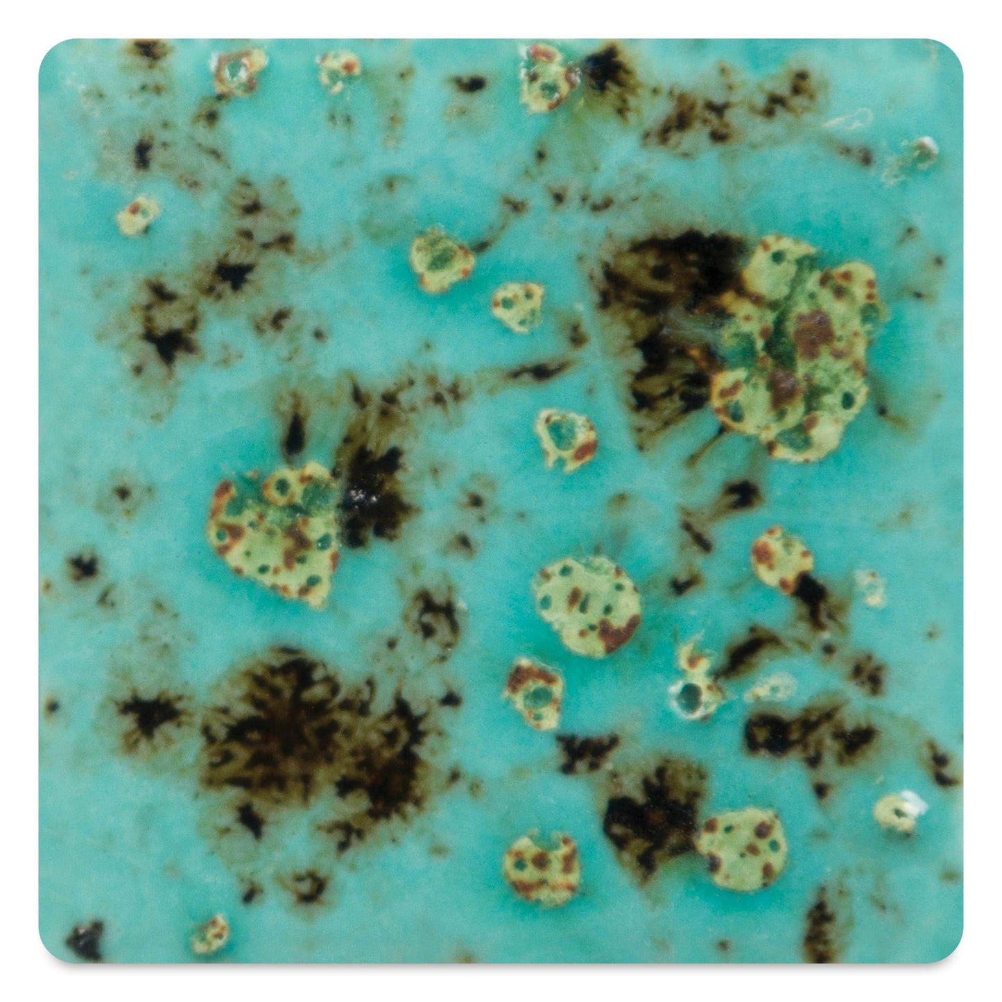 Mayco Jungle Gems Crystal Glaze - Blue Guppy, Pint
