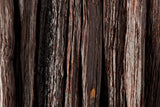 Ugandan Vanilla Beans Whole Grade A Vanilla Pods for Homemade Vanilla Extract, Baking, Ice Cream, Flavoring, & Vanilla Powder (4 Ounce)