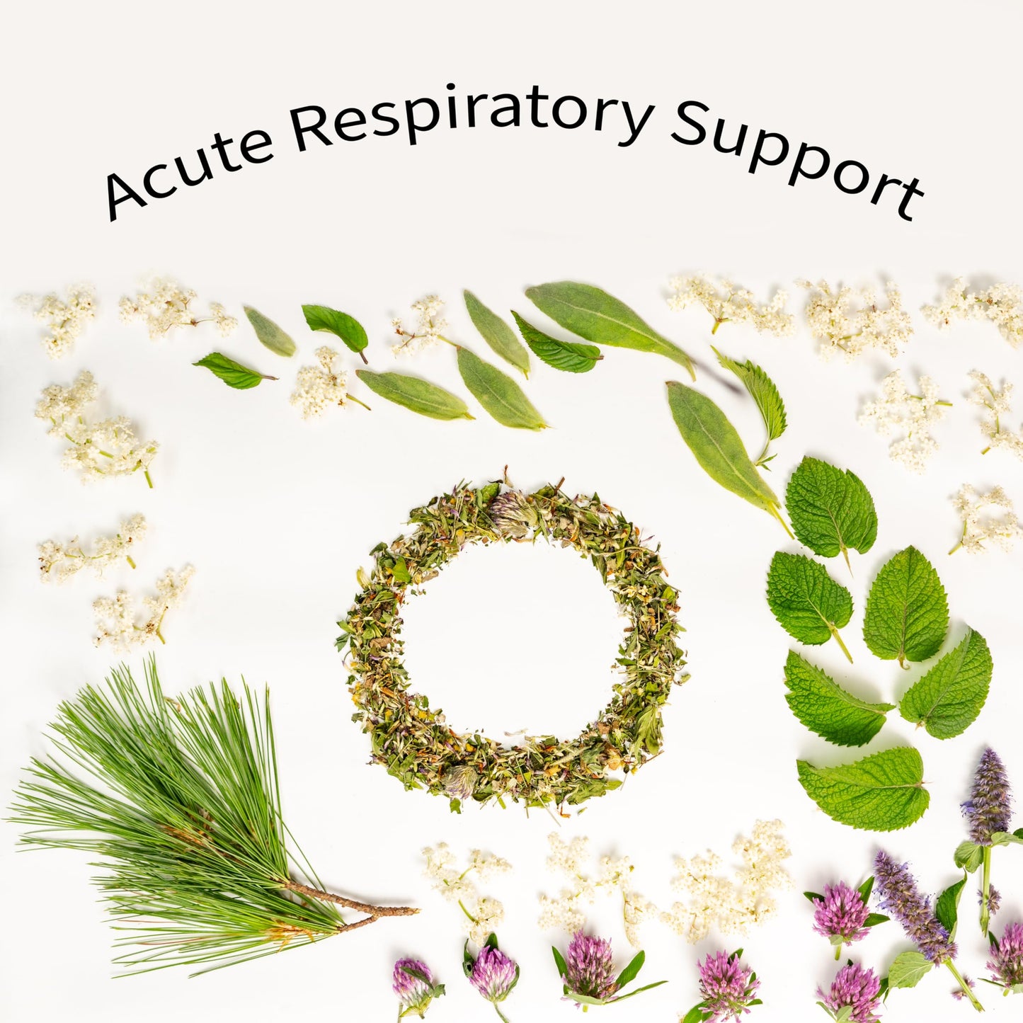 Breathe Herbal Tea | Sacred Blossom Farm | 1.9 oz. Loose Leaf | Sinus and Allergy Relief* | Organically Grown in Wisconsin | Herbal Tea & Medicinal