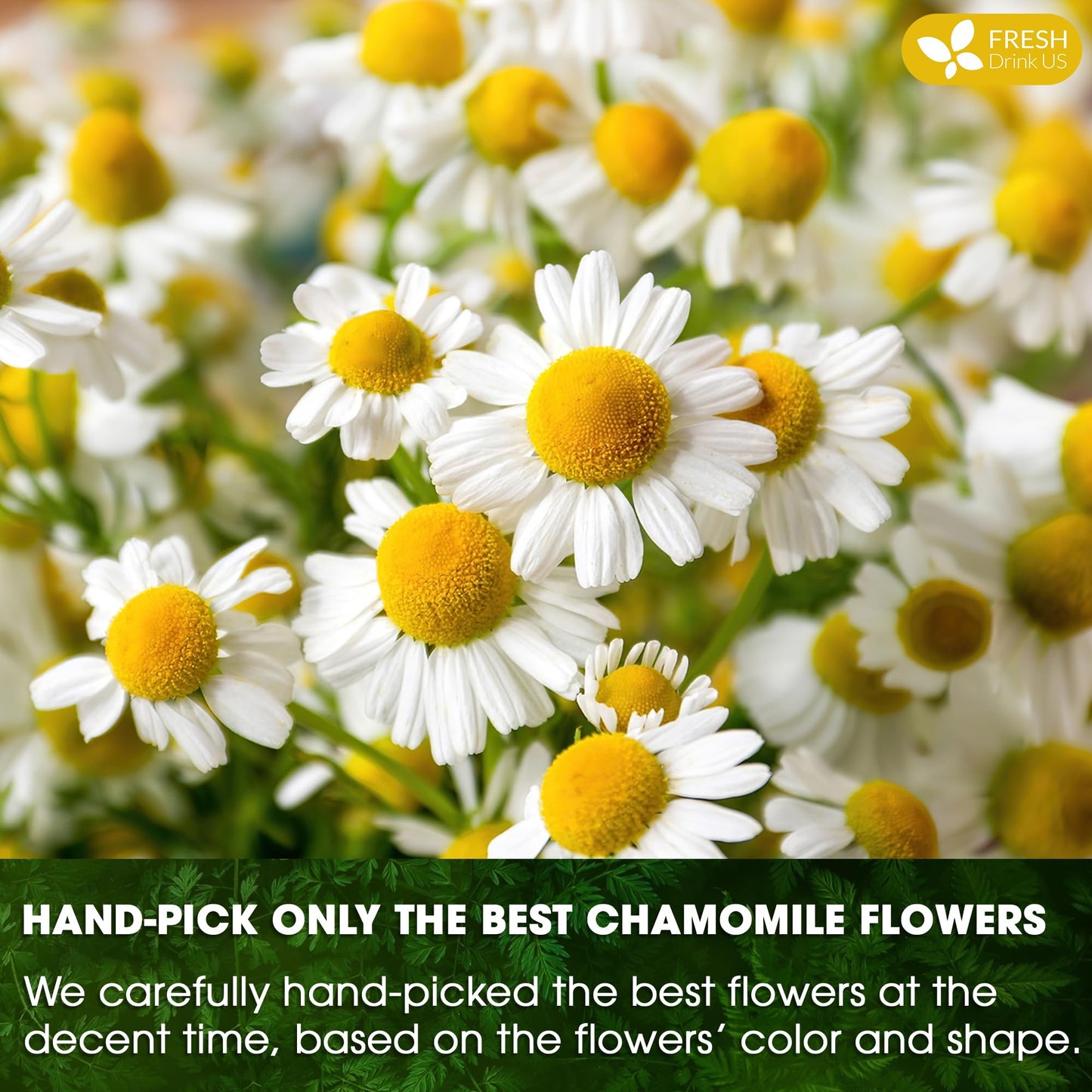 FRESHDRINKUS, Premium 60 Chamomile Tea Bags, 100% Natural and Pure Chamomile Flowers, Eco-conscious Tea Bags. Herbal Tea. No Sugar, No Caffeine, No