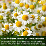 FRESHDRINKUS, Premium 60 Chamomile Tea Bags, 100% Natural and Pure Chamomile Flowers, Eco-conscious Tea Bags. Herbal Tea. No Sugar, No Caffeine, No