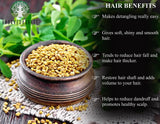 AYURVEDASHREE Fenugreek Seeds Powder 200 Gm I Trigonella foenum-graecum Sd. | Methi Powder | Spice Indian Cuisine | Hair Care | Improves Digestion