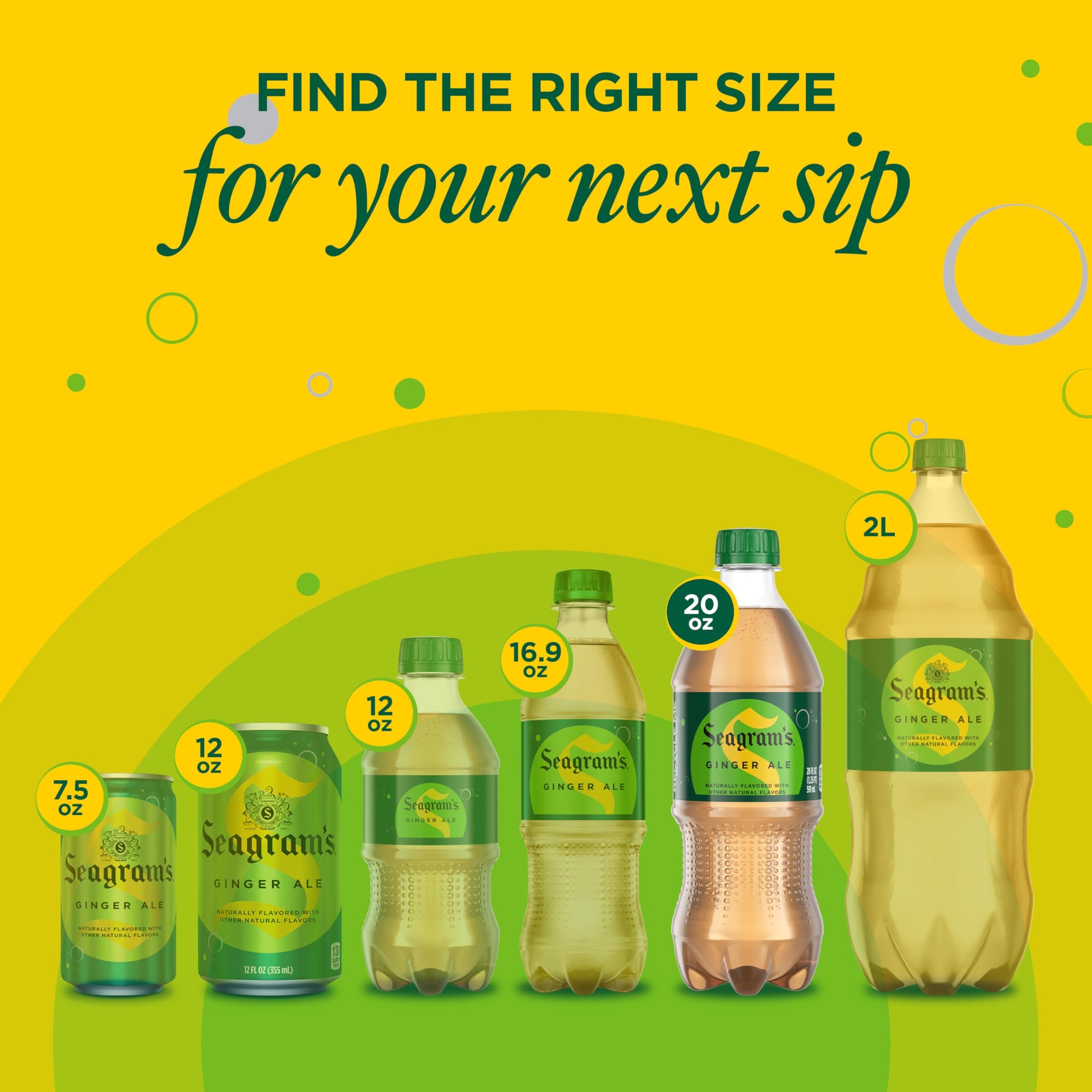 Seagram's Ginger Ale Soda Soft Drink, 20 Fl oz