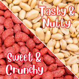 French Burnt Peanuts by Its Delish, 2.5 lbs Jumbo Container | Premium Quality, Fresh & Crunchy Candy Coated Peanuts - Vegan, Kosher, Made in USA