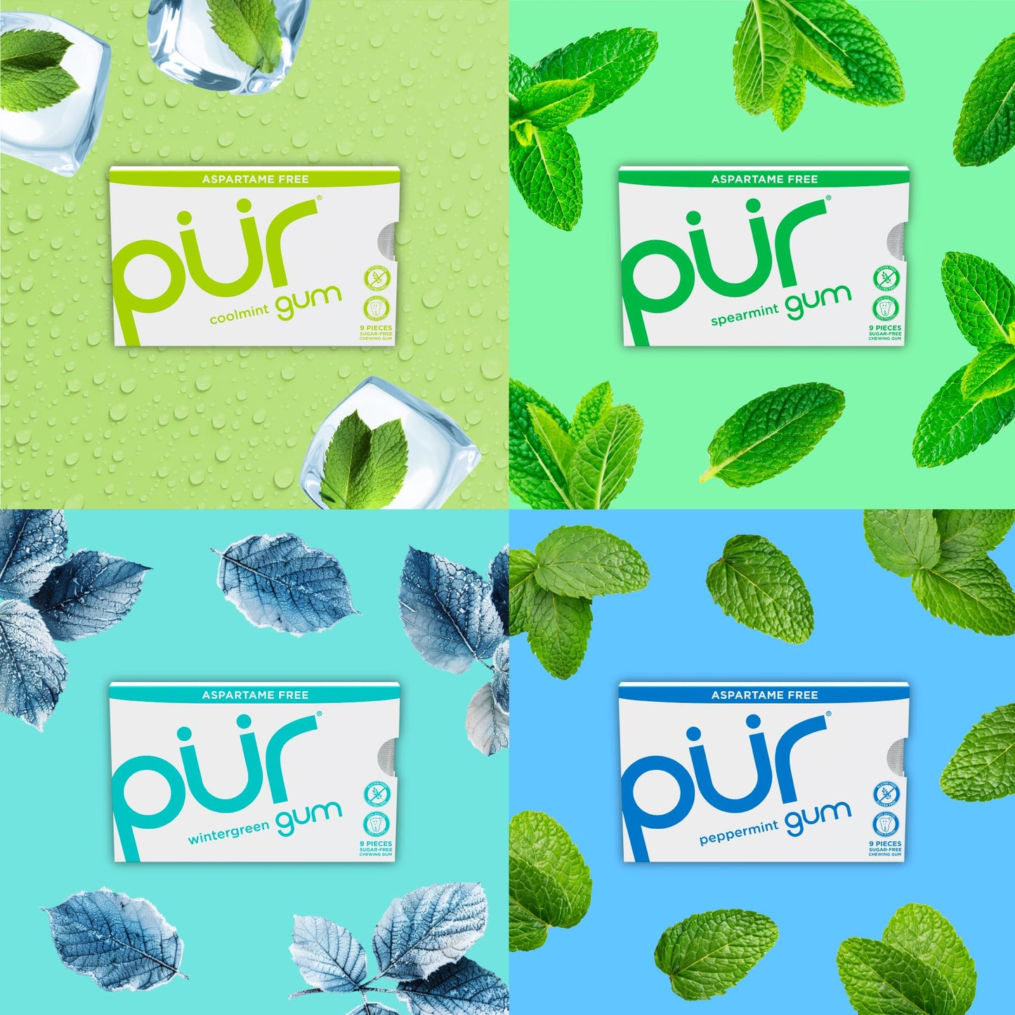 PUR Gum | Aspartame Free Chewing Gum | 100% Xylitol | Natural Flavored Gum, Variety Pack, 9 Pieces (Pack of 8)