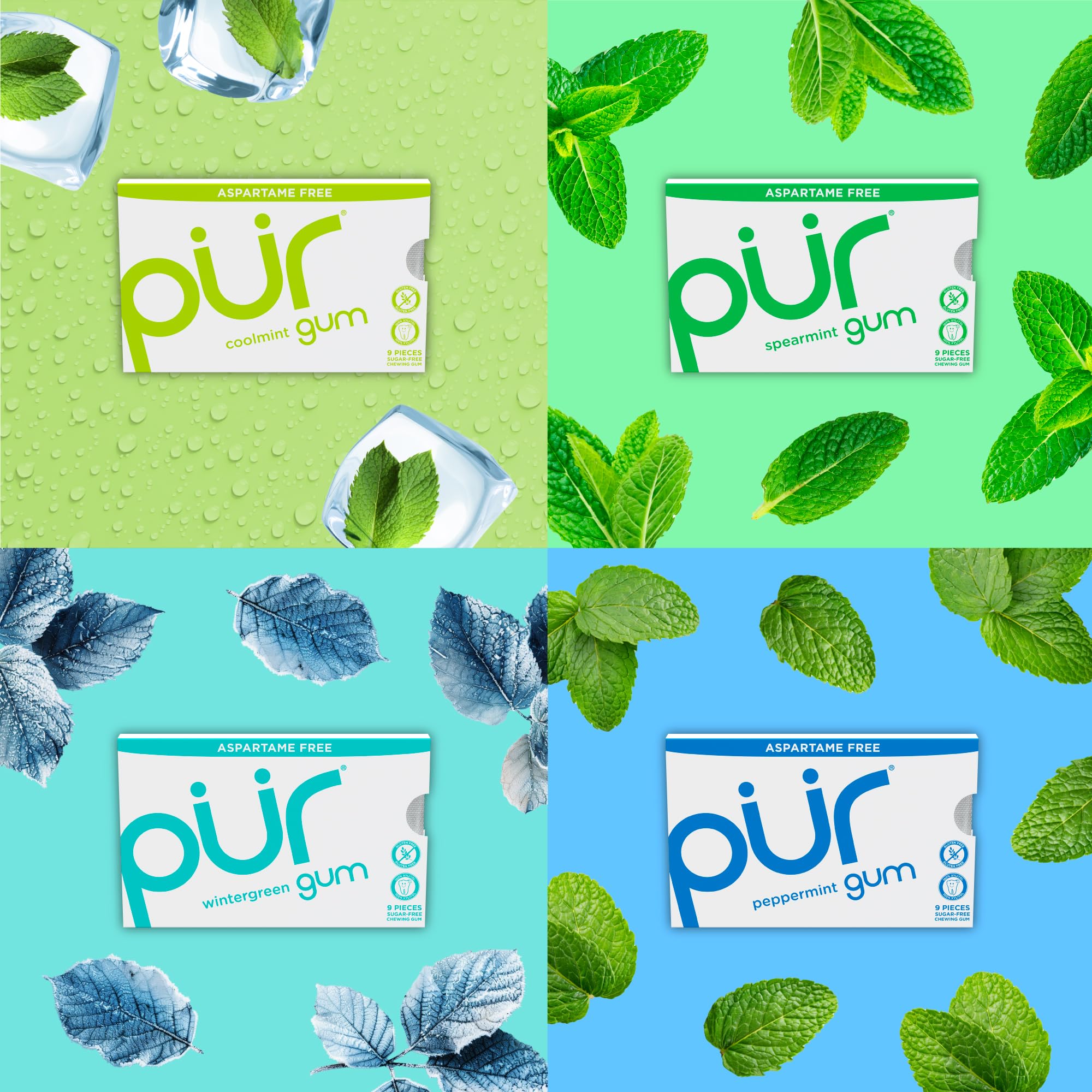 PUR Gum | Aspartame Free Chewing Gum | 100% Xylitol | Natural Flavored Gum, Variety Pack, 9 Pieces (Pack of 8)