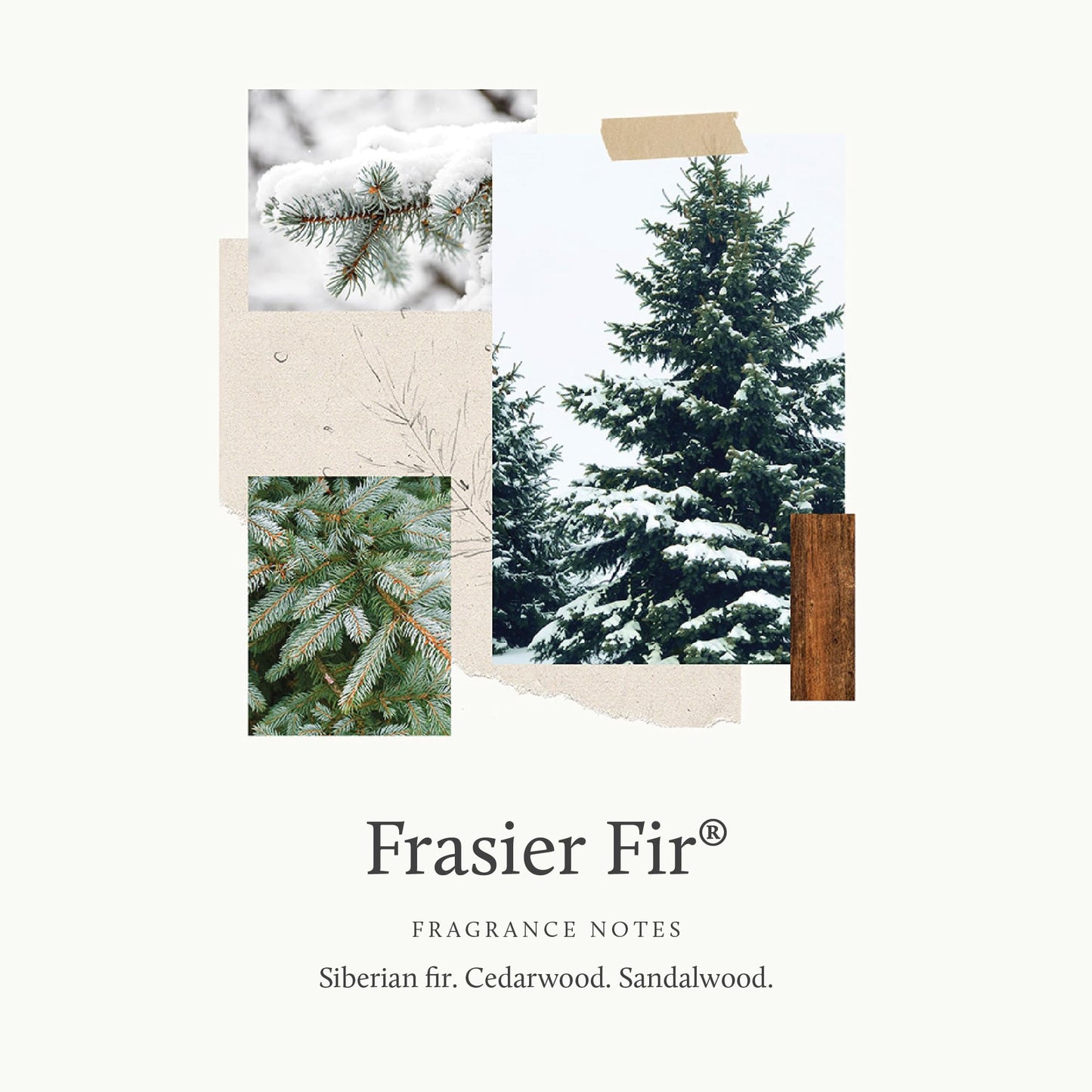 Thymes Frasier Fir Laundry Fragrance Oil for Dryer - Scented Laundry Supplies (0.5 fl oz)
