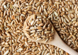 Food to Live - Dry Roasted Sunflower Seed Kernels with Himalayan Salt, 8 Ounces - Oven Roasted Lightly Salted, No Shell, Vegan, Kosher, Bulk.