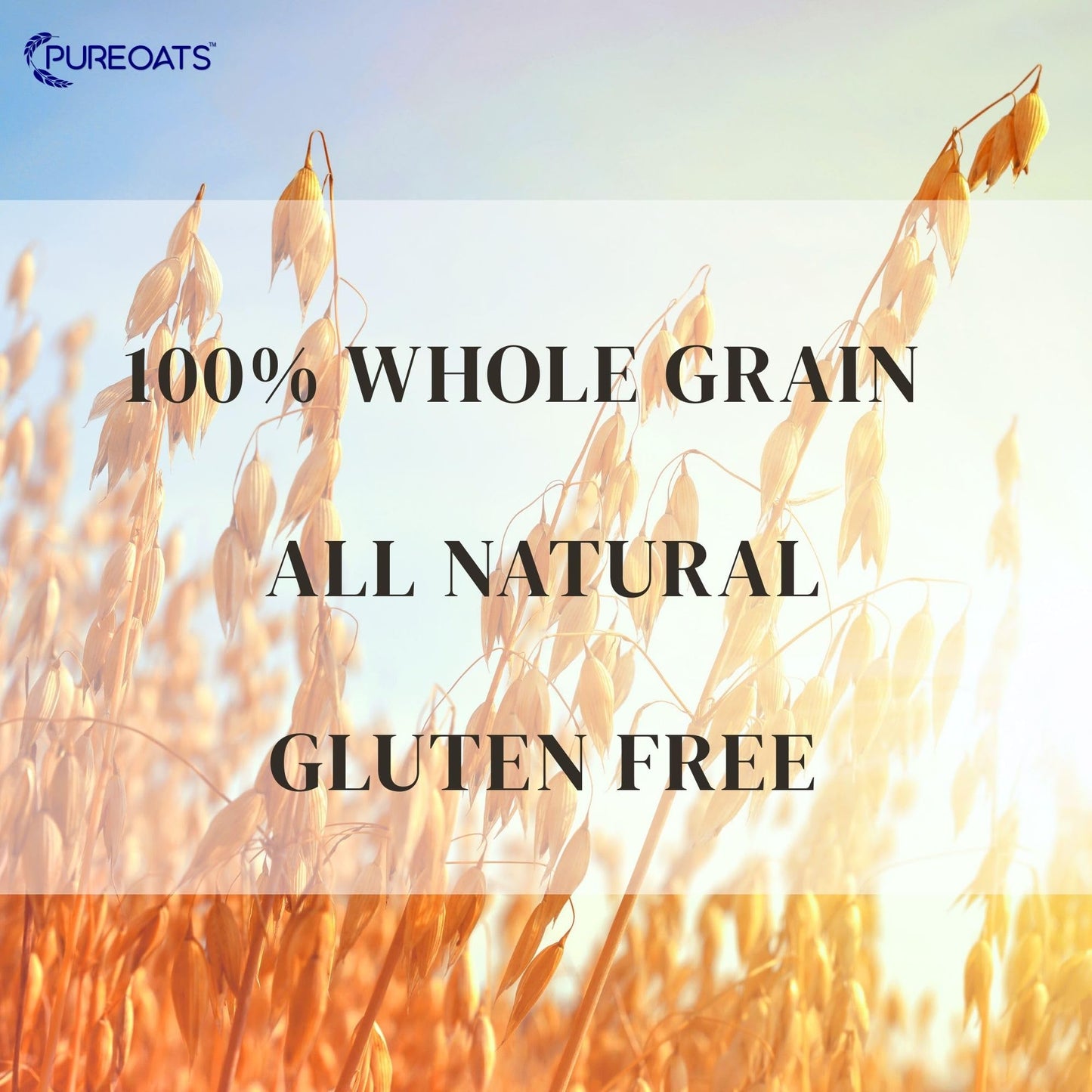 PureOats Gluten Free Oat Flour (4Lb Bag) 100% Whole Grain, Vegan, Allergen Free for Healthy breakfast and more