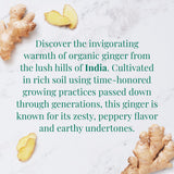 The Republic of Tea - Organic Indian Ginger SuperHerb Tea Tin, 36 Herbal Tea Bags, Naturally Caffeine-Free Herbs of Origin
