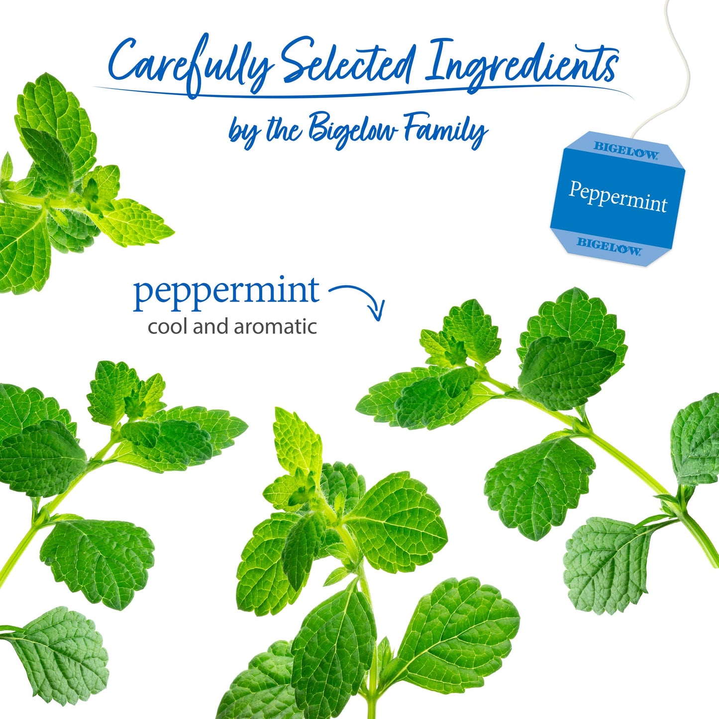 Bigelow Tea Purely Peppermint Tea - Case of 6 - 20 BAG